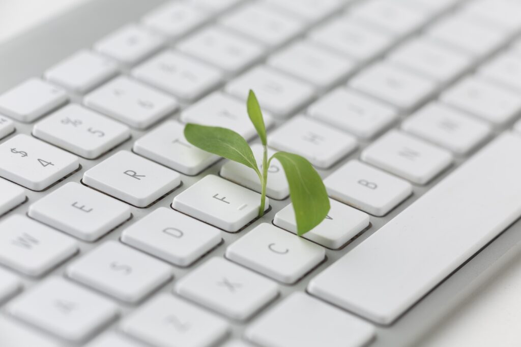 Pequena Planta a nascer num teclado de compurador, simbolizando o inicio do portfólio de marketing digital